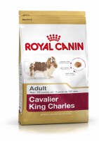 Royal Canin Cavalier Adult 0,5kg
