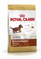 Royal Canin Jazvečík (Dachshund) Junior 1,5kg