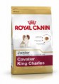Royal Canin Cavalier Junior 1,5kg
