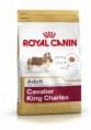 Royal Canin Cavalier Adult 0,5kg