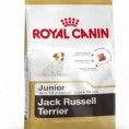Royal Canin Jack Russell Junior 0,5kg