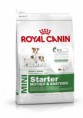 Royal Canin Mini Starter M&B 1kg