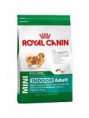 Royal Canin Mini Indoor 0,8kg